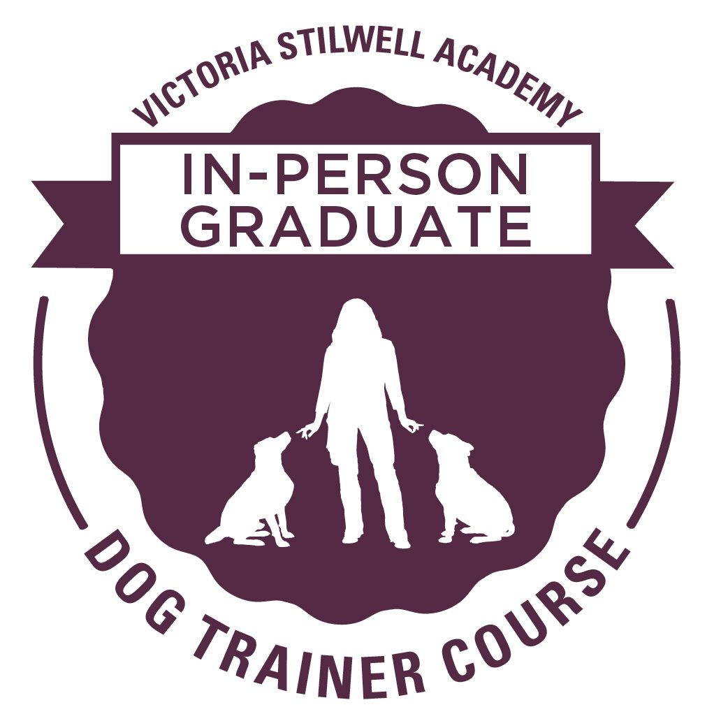 In-person dog trainer course graduate badge